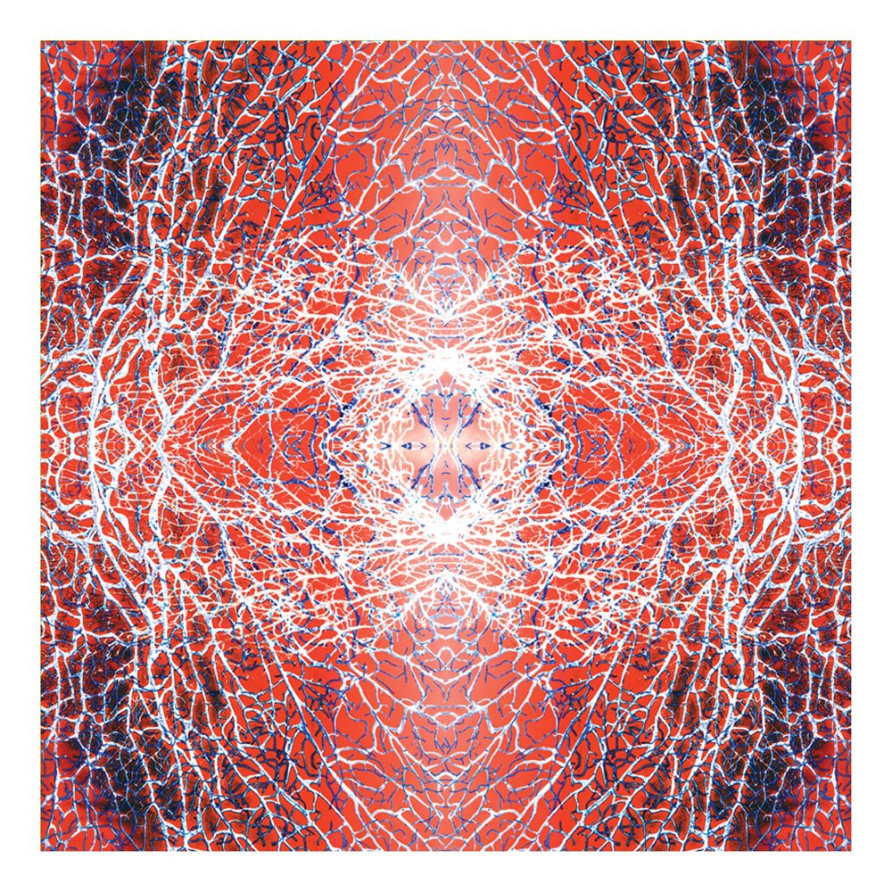 The sea fan mirrored into a pattern