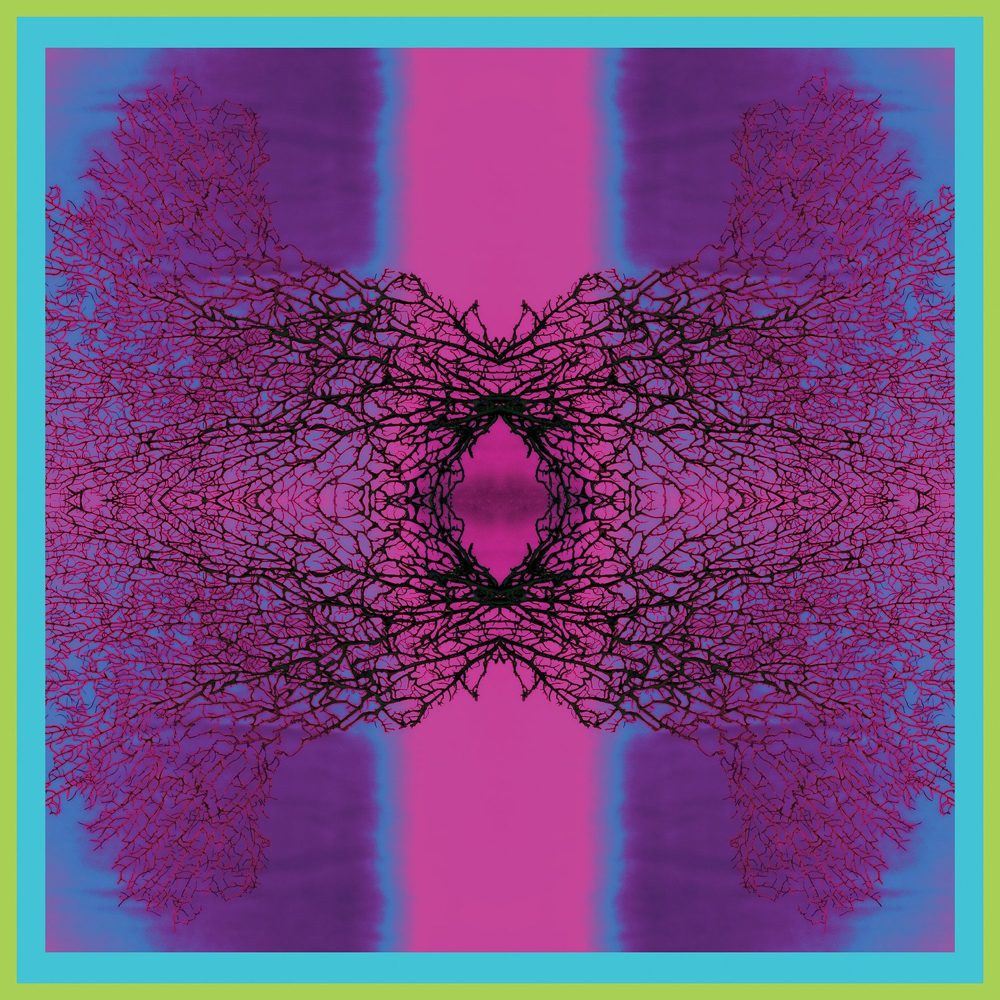 I'm a Fan of Pink Sea Fans silk scarf
