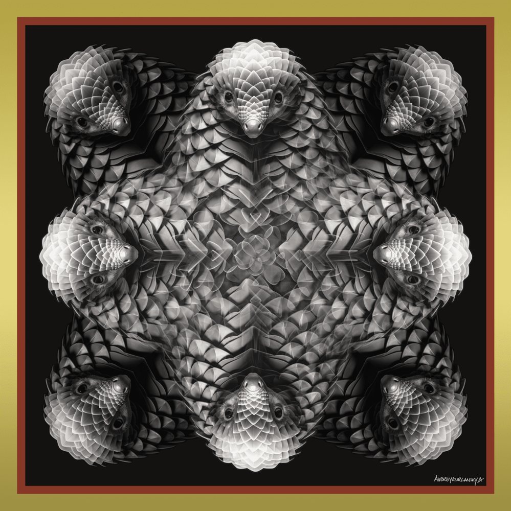 The Pangolin's Defence silk scarf in black, silver grey and gold, laid flat
