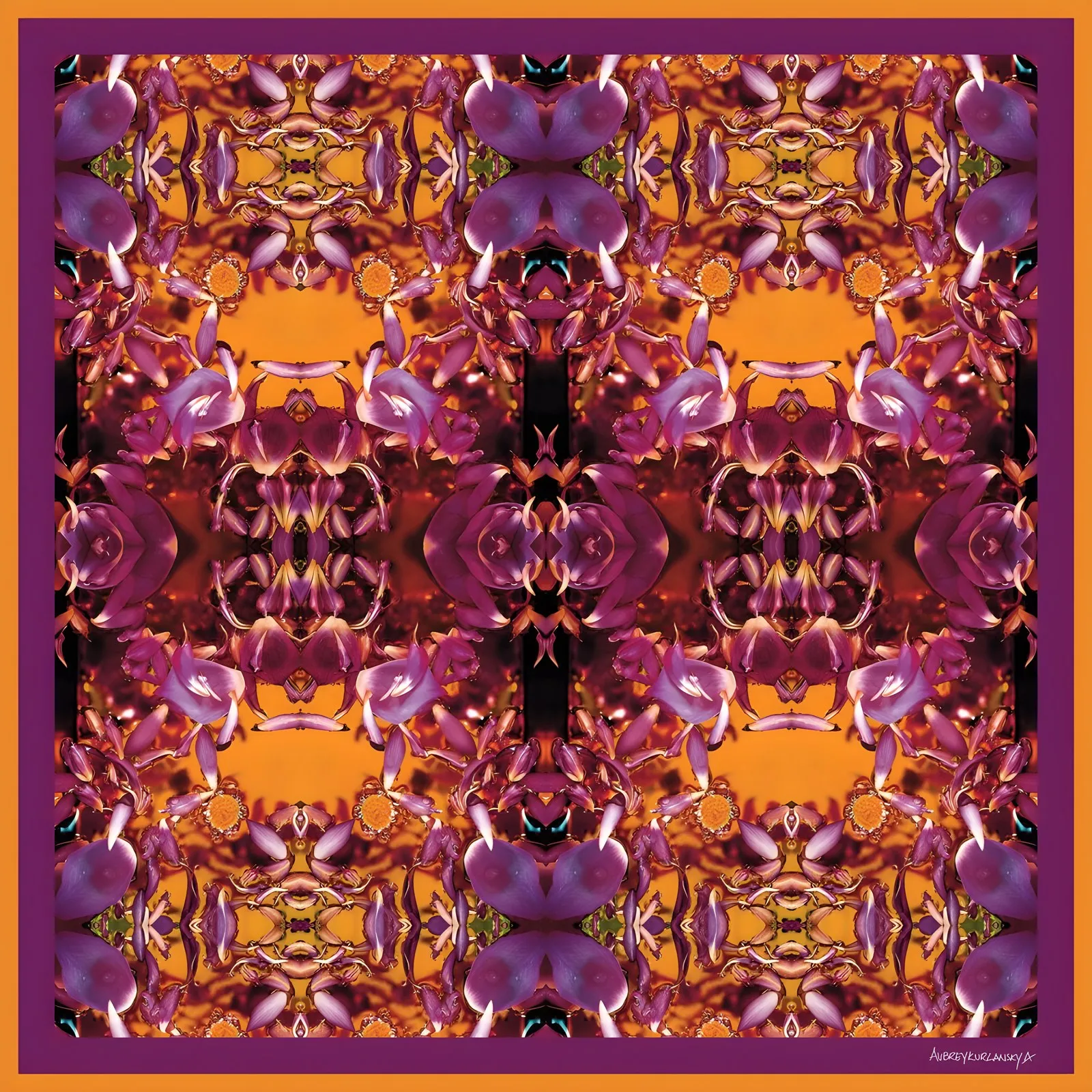 Where the Lotus Glows, a silk square by Aubrey Kurlansky